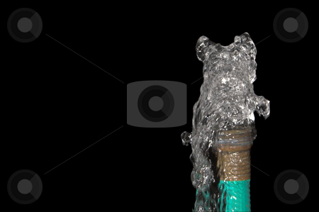 To use this stock image in your creative project, please select the size you need over to the right and click the "Add to Cart" button.
Your downloaded image will come with the Cutcaster watermark removed so don’t worry about the watermark you see on this page. Garden Hose stock photo, Water spewing from a garden hose. Conservation Concept. by Robert Byron