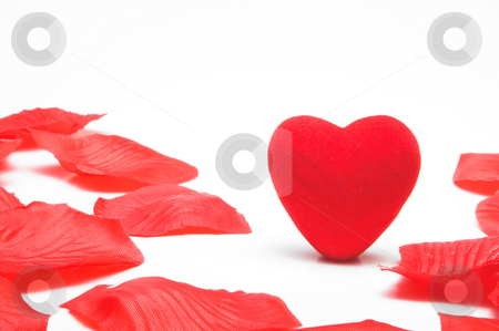 To use this stock image in your creative project, please select the size you need over to the right and click the "Add to Cart" button.
Your downloaded image will come with the Cutcaster watermark removed so don’t worry about the watermark you see on this page. Lone Heart stock photo, A lone heart in the middle of artificial rose petals. by Robert Byron