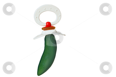 To use this stock image in your creative project, please select the size you need over to the right and click the "Add to Cart" button.
Your downloaded image will come with the Cutcaster watermark removed so don’t worry about the watermark you see on this page. Jalapeno Pacifier stock photo, A smoking hot jalapeno pepper pacifier. Not recommended for babies under 18. by Robert Byron