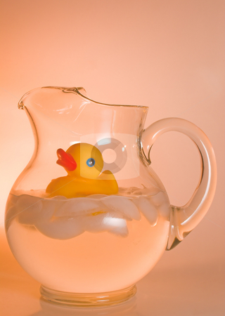 To use this stock image in your creative project, please select the size you need over to the right and click the "Add to Cart" button.
Your downloaded image will come with the Cutcaster watermark removed so don’t worry about the watermark you see on this page. Pitcher of Duck stock photo, A rubber duck in a pitcher of ice water. by Robert Byron
