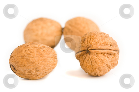 To use this stock image in your creative project, please select the size you need over to the right and click the "Add to Cart" button.
Your downloaded image will come with the Cutcaster watermark removed so don’t worry about the watermark you see on this page. Health food walnut snack on isolated background nutshell stock photo, Health food walnut snack on isolated background nutshell by Ivan Montero