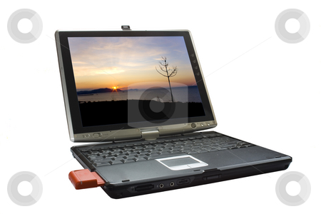 To use this stock image in your creative project, please select the size you need over to the right and click the "Add to Cart" button.
Your downloaded image will come with the Cutcaster watermark removed so don’t worry about the watermark you see on this page. Laptop stock photo, A conceptual image of e commerce by Ivan Montero