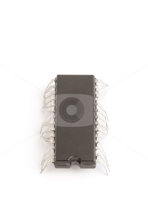 To use this stock image in your creative project, please select the size you need over to the right and click the "Add to Cart" button.
Your downloaded image will come with the Cutcaster watermark removed so don’t worry about the watermark you see on this page. Bussines technology chip stock photo, Technology isolated computer electronic chip on white background with its pins as legs of a live worm by Ivan Montero