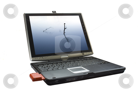 To use this stock image in your creative project, please select the size you need over to the right and click the "Add to Cart" button.
Your downloaded image will come with the Cutcaster watermark removed so don’t worry about the watermark you see on this page. Laptop stock photo, A conceptual image of e commerce by Ivan Montero
