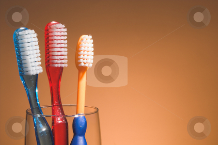 To use this stock image in your creative project, please select the size you need over to the right and click the "Add to Cart" button.
Your downloaded image will come with the Cutcaster watermark removed so don’t worry about the watermark you see on this page. A Family's Toothbrushes stock photo, A family's toothbrushes in a glass container. by Robert Byron