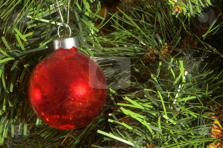 To use this stock image in your creative project, please select the size you need over to the right and click the "Add to Cart" button.
Your downloaded image will come with the Cutcaster watermark removed so don’t worry about the watermark you see on this page. Christmas Ornament stock photo, A very colorful Christmas ornamental glass ball. by Robert Byron
