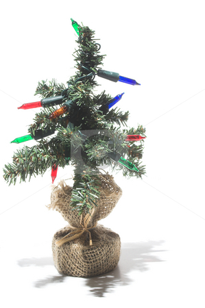 To use this stock image in your creative project, please select the size you need over to the right and click the "Add to Cart" button.
Your downloaded image will come with the Cutcaster watermark removed so don’t worry about the watermark you see on this page. Christmas Tree stock photo, A bright, colorful and festive Christmas tree. by Robert Byron