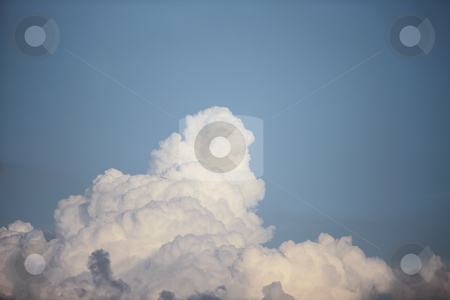 To use this stock image in your creative project, please select the size you need over to the right and click the "Add to Cart" button.
Your downloaded image will come with the Cutcaster watermark removed so don’t worry about the watermark you see on this page. Blue sky stock photo, Blue sky with white clouds by Claudia Veja