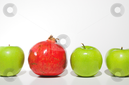 To use this stock image in your creative project, please select the size you need over to the right and click the "Add to Cart" button.
Your downloaded image will come with the Cutcaster watermark removed so don’t worry about the watermark you see on this page. Apples and a Pomegranate stock photo, Several Granny Smith apples and a delicious pomegranate. by Robert Byron