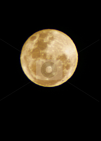 To use this stock image in your creative project, please select the size you need over to the right and click the "Add to Cart" button.
Your downloaded image will come with the Cutcaster watermark removed so don’t worry about the watermark you see on this page. Madame La Lune stock photo, by Philippe Vieux-Jeanton