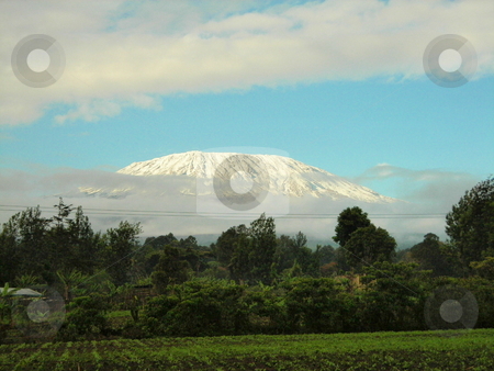 To use this stock image in your creative project, please select the size you need over to the right and click the "Add to Cart" button.
Your downloaded image will come with the Cutcaster watermark removed so don’t worry about the watermark you see on this page. Mt. Kilimanjaro stock photo, Mt. Kilimanjaro on the Kenyal/Tanzania border. by Rose Nthiwa