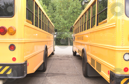 To use this stock image in your creative project, please select the size you need over to the right and click the "Add to Cart" button.
Your downloaded image will come with the Cutcaster watermark removed so don’t worry about the watermark you see on this page. Public school Buses stock photo, A row of school buses in a parking lot. by Robert Byron