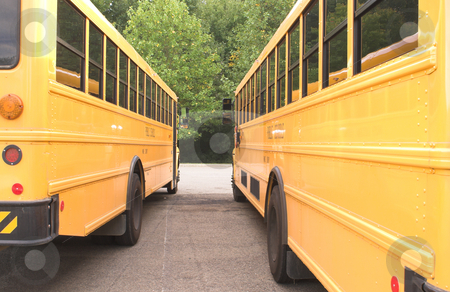 To use this stock image in your creative project, please select the size you need over to the right and click the "Add to Cart" button.
Your downloaded image will come with the Cutcaster watermark removed so don’t worry about the watermark you see on this page. Public school Buses stock photo, A row of school buses in a parking lot. by Robert Byron