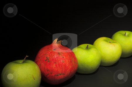 To use this stock image in your creative project, please select the size you need over to the right and click the "Add to Cart" button.
Your downloaded image will come with the Cutcaster watermark removed so don’t worry about the watermark you see on this page. Row of apples and Pomegranate stock photo, Several Granny Smith apples and a delicious pomegranate. by Robert Byron