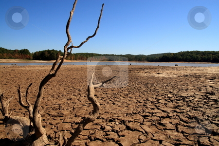 To use this stock image in your creative project, please select the size you need over to the right and click the "Add to Cart" button.
Your downloaded image will come with the Cutcaster watermark removed so don’t worry about the watermark you see on this page. Georgia Drought stock photo, The lake at Sweetwater Creek State Park Lithia Springs GA is one of the sources that Georgia residents are dependent on for drinking water by Jack Schiffer