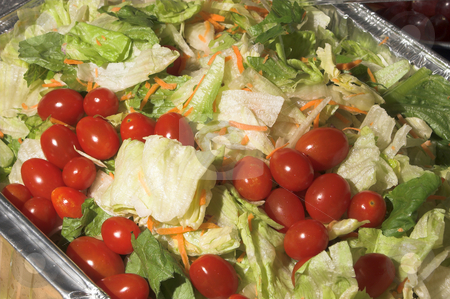 To use this stock image in your creative project, please select the size you need over to the right and click the "Add to Cart" button.
Your downloaded image will come with the Cutcaster watermark removed so don’t worry about the watermark you see on this page. Tossed Salad stock photo, A very colorful tossed green garden salad. by Robert Byron