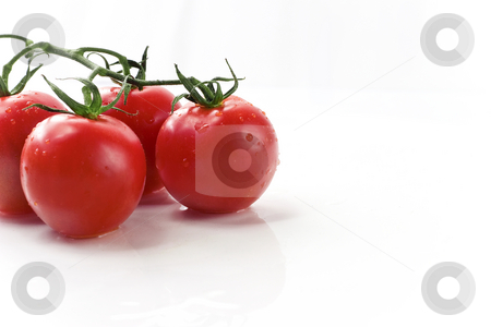 To use this stock image in your creative project, please select the size you need over to the right and click the "Add to Cart" button.
Your downloaded image will come with the Cutcaster watermark removed so don’t worry about the watermark you see on this page. Red Ripe Vine Cherry Tomatoes On White Plate stock photo, Organic cherry tomatoes by Mark S