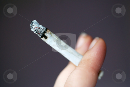 To use this stock image in your creative project, please select the size you need over to the right and click the "Add to Cart" button.
Your downloaded image will come with the Cutcaster watermark removed so don’t worry about the watermark you see on this page. Smoking stock photo, A photograph of a hand holding a roll-up cigarette or joint. by Philippa Willitts