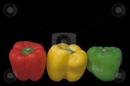 To use this stock image in your creative project, please select the size you need over to the right and click the "Add to Cart" button.
Your downloaded image will come with the Cutcaster watermark removed so don’t worry about the watermark you see on this page. Stoplight Bell Peppers stock photo, Several fresh and delicious stoplight bell peppers. by Robert Byron