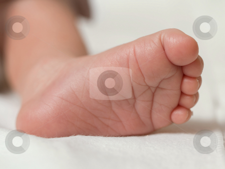To use this stock image in your creative project, please select the size you need over to the right and click the "Add to Cart" button.
Your downloaded image will come with the Cutcaster watermark removed so don’t worry about the watermark you see on this page. Baby foot stock photo, New-born baby foot on a towel by Adrian Costea