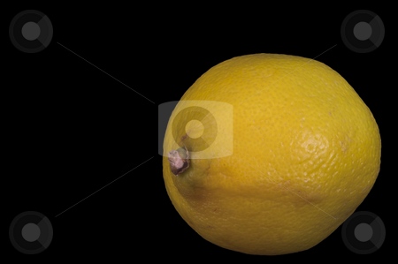 To use this stock image in your creative project, please select the size you need over to the right and click the "Add to Cart" button.
Your downloaded image will come with the Cutcaster watermark removed so don’t worry about the watermark you see on this page. A Yellow Lemon stock photo, A deliciously sour and fresh yellow lemon. by Robert Byron