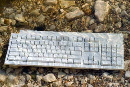 To use this stock image in your creative project, please select the size you need over to the right and click the "Add to Cart" button.
Your downloaded image will come with the Cutcaster watermark removed so don’t worry about the watermark you see on this page. Wet Keyboard stock photo, A wet keyboard thrown in the lake by Richard Nelson