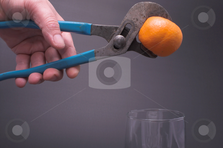To use this stock image in your creative project, please select the size you need over to the right and click the "Add to Cart" button.
Your downloaded image will come with the Cutcaster watermark removed so don’t worry about the watermark you see on this page. Squeezing an Orange stock photo, Fresh squeezed orange juice. by Robert Byron