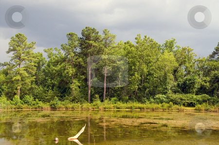 To use this stock image in your creative project, please select the size you need over to the right and click the "Add to Cart" button.
Your downloaded image will come with the Cutcaster watermark removed so don’t worry about the watermark you see on this page. Stormy Lake stock photo, A storm brewing over a small lake. by Robert Byron