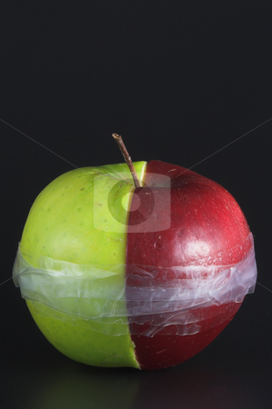 To use this stock image in your creative project, please select the size you need over to the right and click the "Add to Cart" button.
Your downloaded image will come with the Cutcaster watermark removed so don’t worry about the watermark you see on this page. Taped Apple stock photo, Red and green apple halves taped together. by Robert Byron
