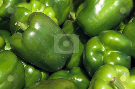 To use this stock image in your creative project, please select the size you need over to the right and click the "Add to Cart" button.
Your downloaded image will come with the Cutcaster watermark removed so don’t worry about the watermark you see on this page. Green Bell Peppers stock photo, A pile of fresh and delicious green bell peppers. by Robert Byron