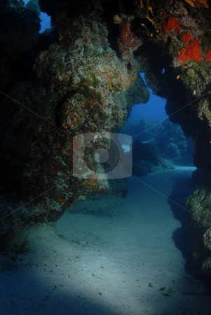 To use this stock image in your creative project, please select the size you need over to the right and click the "Add to Cart" button.
Your downloaded image will come with the Cutcaster watermark removed so don’t worry about the watermark you see on this page. Underwater Arch stock photo, A coral reef arch formation making a swimthrough cave on the floor of the ocean by A Cotton Photo