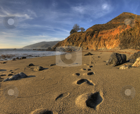 To use this stock image in your creative project, please select the size you need over to the right and click the "Add to Cart" button.
Your downloaded image will come with the Cutcaster watermark removed so don’t worry about the watermark you see on this page. Footprints on Big Sur Beach stock photo, Footprints heading off into the distance on the beach at Big Sur, California with the water, cliffs and a beautiful sky in the background by A Cotton Photo