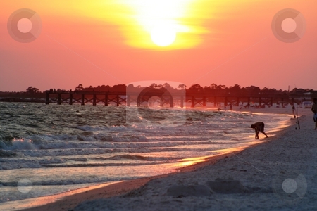 To use this stock image in your creative project, please select the size you need over to the right and click the "Add to Cart" button.
Your downloaded image will come with the Cutcaster watermark removed so don’t worry about the watermark you see on this page. Beach at Sunset stock photo, Sunset at Mexico Beach, Florida. by Debbie Hayes