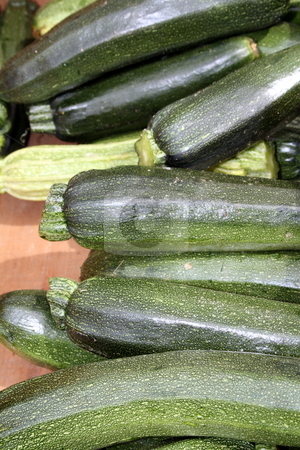 To use this stock image in your creative project, please select the size you need over to the right and click the "Add to Cart" button.
Your downloaded image will come with the Cutcaster watermark removed so don’t worry about the watermark you see on this page. Group of zucchini stock photo, Just picked young zucchini, at a farmers' market by Tom and Beth Pulsipher