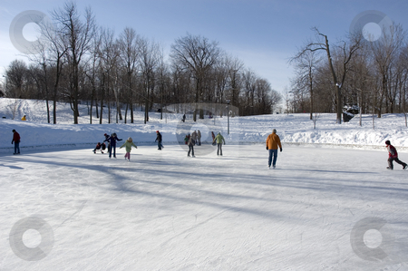 To use this stock image in your creative project, please select the size you need over to the right and click the "Add to Cart" button.
Your downloaded image will come with the Cutcaster watermark removed so don’t worry about the watermark you see on this page. Winter stock photo, Sunny winter landscape with trees and trails by Vlad Podkhlebnik