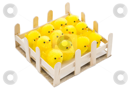 To use this stock image in your creative project, please select the size you need over to the right and click the "Add to Cart" button.
Your downloaded image will come with the Cutcaster watermark removed so don’t worry about the watermark you see on this page. Easter Chickens stock photo, A pen with newborn yellow easter chickens by Petr Koudelka