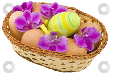 To use this stock image in your creative project, please select the size you need over to the right and click the "Add to Cart" button.
Your downloaded image will come with the Cutcaster watermark removed so don’t worry about the watermark you see on this page. Colourful Easter Eggs stock photo, A basket of easter eggs with flowers isolated on the white background by Petr Koudelka