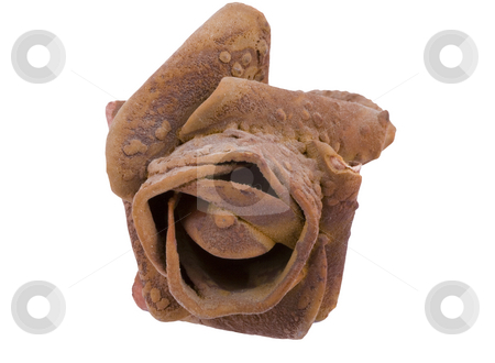 To use this stock image in your creative project, please select the size you need over to the right and click the "Add to Cart" button.
Your downloaded image will come with the Cutcaster watermark removed so don’t worry about the watermark you see on this page. Salt Rose stock photo, An aragonite (stone) rose isolated on the white background by Petr Koudelka