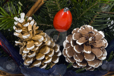 To use this stock image in your creative project, please select the size you need over to the right and click the "Add to Cart" button.
Your downloaded image will come with the Cutcaster watermark removed so don’t worry about the watermark you see on this page. Christmas Decoration stock photo, A christmas ornament - seasonal decoration - close up by Petr Koudelka