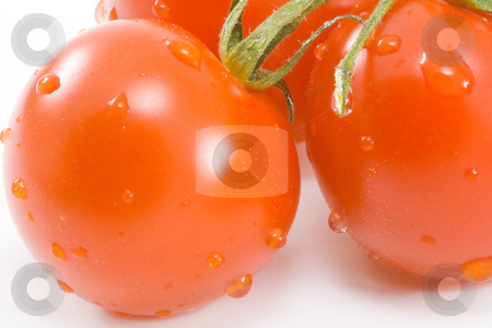 To use this stock image in your creative project, please select the size you need over to the right and click the "Add to Cart" button.
Your downloaded image will come with the Cutcaster watermark removed so don’t worry about the watermark you see on this page. Tomatos stock photo, Tomatos - healthy eating - vegetables - close up by Petr Koudelka