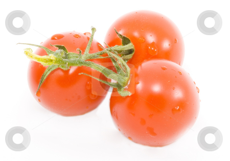 To use this stock image in your creative project, please select the size you need over to the right and click the "Add to Cart" button.
Your downloaded image will come with the Cutcaster watermark removed so don’t worry about the watermark you see on this page. Tomatoes stock photo, Tomatoes - healthy eating - vegetables - close up by Petr Koudelka