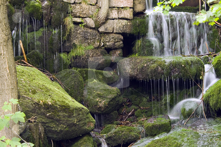 To use this stock image in your creative project, please select the size you need over to the right and click the "Add to Cart" button.
Your downloaded image will come with the Cutcaster watermark removed so don’t worry about the watermark you see on this page. Stream in the Green stock photo, A little stream in the mountain forest by Petr Koudelka