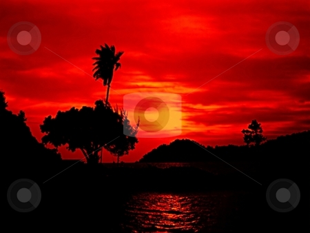 To use this stock image in your creative project, please select the size you need over to the right and click the "Add to Cart" button.
Your downloaded image will come with the Cutcaster watermark removed so don’t worry about the watermark you see on this page. Brilliant sunset silhouette stock photo, by ZaKaRiA- MaStErPiEcE