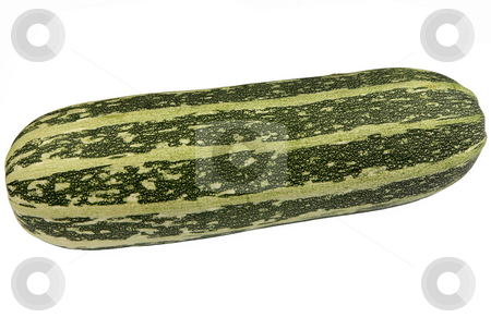 To use this stock image in your creative project, please select the size you need over to the right and click the "Add to Cart" button.
Your downloaded image will come with the Cutcaster watermark removed so don’t worry about the watermark you see on this page. Large green bush marrow isolated on a white background. stock photo, Large green bush marrow isolated on a white background. by Stephen Rees
