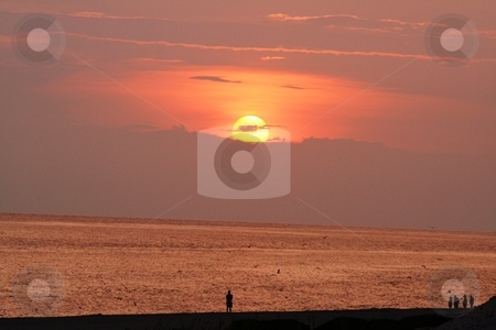 To use this stock image in your creative project, please select the size you need over to the right and click the "Add to Cart" button.
Your downloaded image will come with the Cutcaster watermark removed so don’t worry about the watermark you see on this page. Beach at Sunset stock photo, Sunset at Panama City Beach, Florida by Debbie Hayes