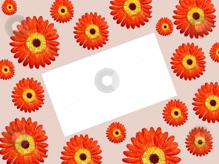 To use this stock image in your creative project, please select the size you need over to the right and click the "Add to Cart" button.
Your downloaded image will come with the Cutcaster watermark removed so don’t worry about the watermark you see on this page. Borders daisy paper tilt right stock photo, by ZaKaRiA- MaStErPiEcE