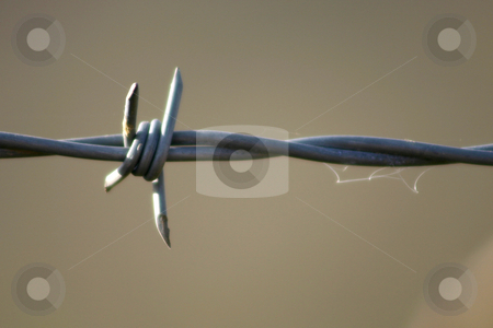 To use this stock image in your creative project, please select the size you need over to the right and click the "Add to Cart" button.
Your downloaded image will come with the Cutcaster watermark removed so don’t worry about the watermark you see on this page. Barb Wire stock photo, Barb wire in the Arizona desert by MIca Mulloy
