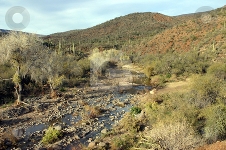 To use this stock image in your creative project, please select the size you need over to the right and click the "Add to Cart" button.
Your downloaded image will come with the Cutcaster watermark removed so don’t worry about the watermark you see on this page. Arizona River stock photo, A river runs through the Arizona desert by MIca Mulloy