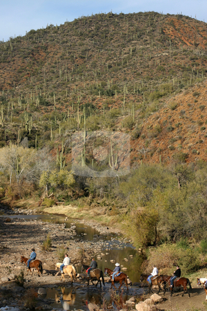 To use this stock image in your creative project, please select the size you need over to the right and click the "Add to Cart" button.
Your downloaded image will come with the Cutcaster watermark removed so don’t worry about the watermark you see on this page. Desert Horse Ride stock photo, A group of horse riders crosses an Arizona river in the desert. by MIca Mulloy