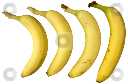 To use this stock image in your creative project, please select the size you need over to the right and click the "Add to Cart" button.
Your downloaded image will come with the Cutcaster watermark removed so don’t worry about the watermark you see on this page. Four bananas isolated on white background. stock photo, Four bananas isolated on white background. by Stephen Rees
